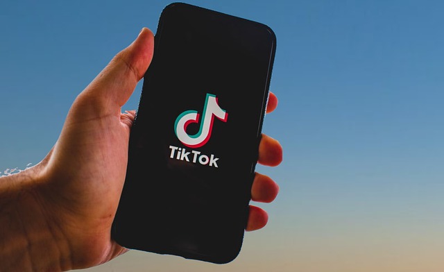 tiktok followers counter
